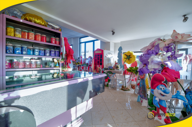 Tarquinia- Attività Commerciale Shabbylandia  7