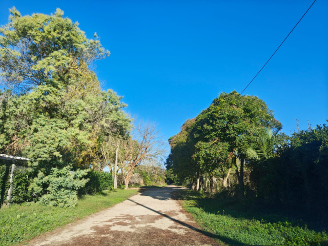 Terreno agricolo in loc. San Giorgio con pozzo  e allaccio elettrico 13