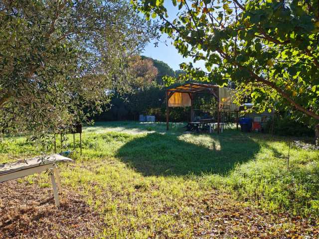 Terreno agricolo in loc. San Giorgio con pozzo  e allaccio elettrico 2