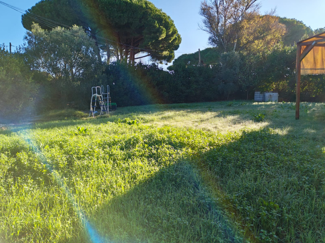 Terreno agricolo in loc. San Giorgio con pozzo  e allaccio elettrico 4