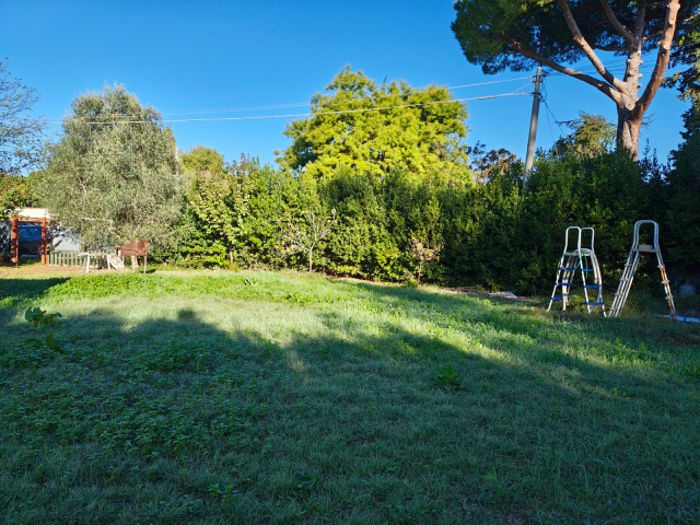 Terreno agricolo in loc. San Giorgio con pozzo  e allaccio elettrico 5