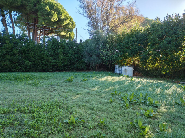 Terreno agricolo in loc. San Giorgio con pozzo  e allaccio elettrico 6