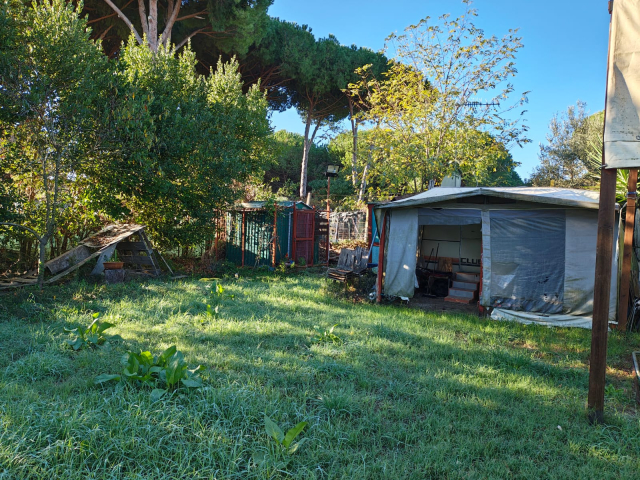 Terreno agricolo in loc. San Giorgio con pozzo  e allaccio elettrico 8
