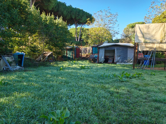 Terreno agricolo in loc. San Giorgio con pozzo  e allaccio elettrico 9